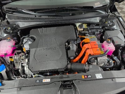 2026 Hyundai ELANTRA HYBRID Limited