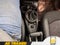 2011 MINI Cooper Countryman Base